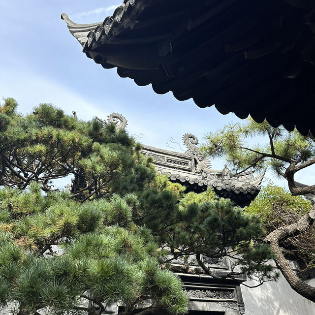 Short, but wonderful Shanghai trip!