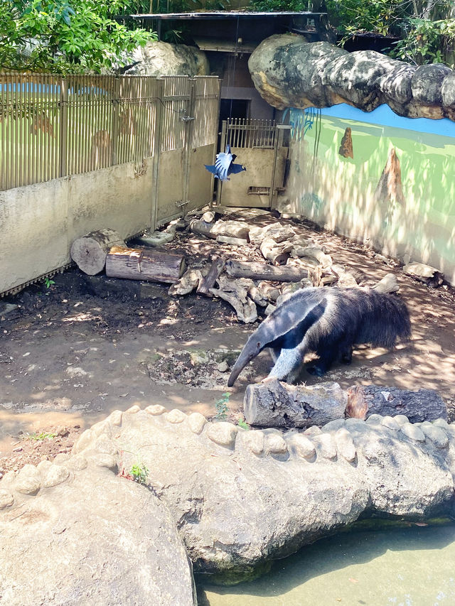 日本°東京ㅣ親子免費近郊好去處ㅣ江戶川區自然動物園。