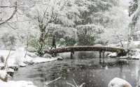 溫哥華最美雪景的九大推薦地。