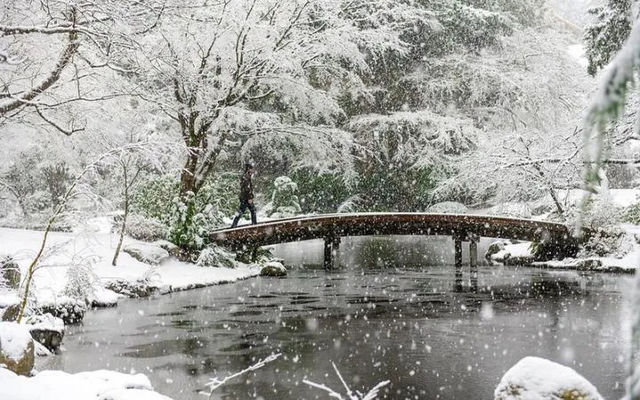 溫哥華最美雪景的九大推薦地。