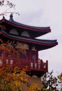 周末好去處——興慶公園。