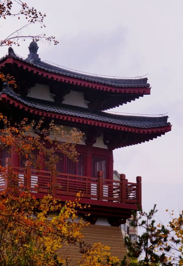 周末好去處——興慶公園。