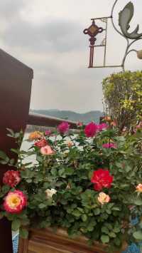 體驗傣族傳統生活方式  孟連。