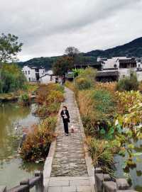 遠山如黛，近水含煙。