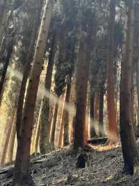 成都天台山｜自然奇觀與文化瑰寶的完美融合