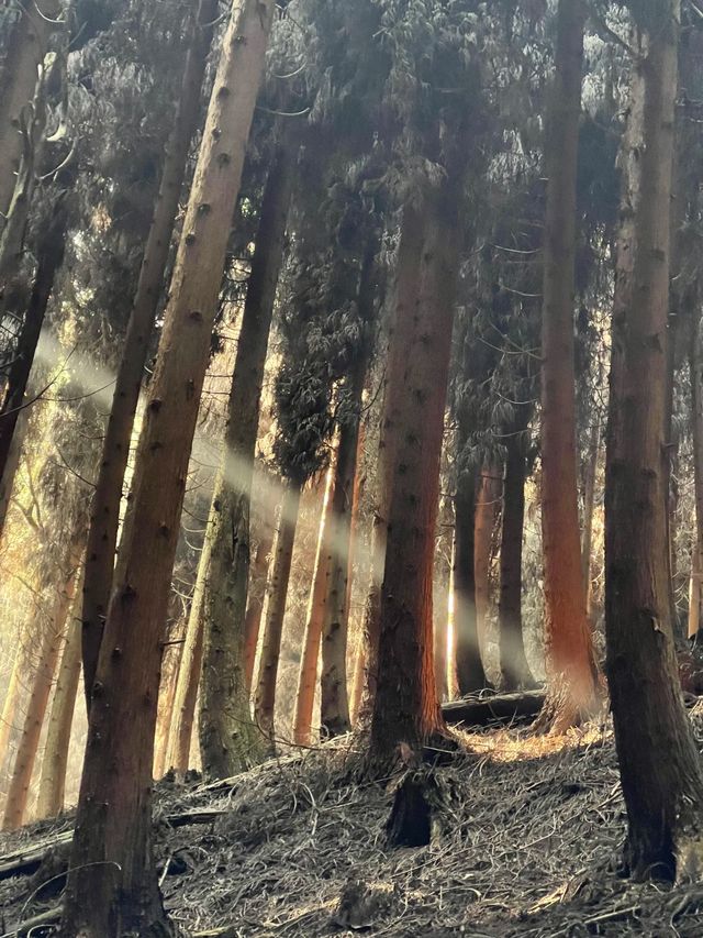 成都天台山｜自然奇觀與文化瑰寶的完美融合