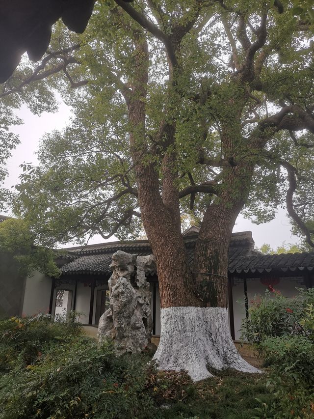 常熟曾趙園 常熟曾趙園