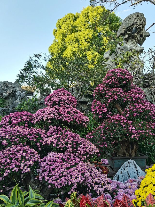 蘇州2日遊 老友出行必玩清單