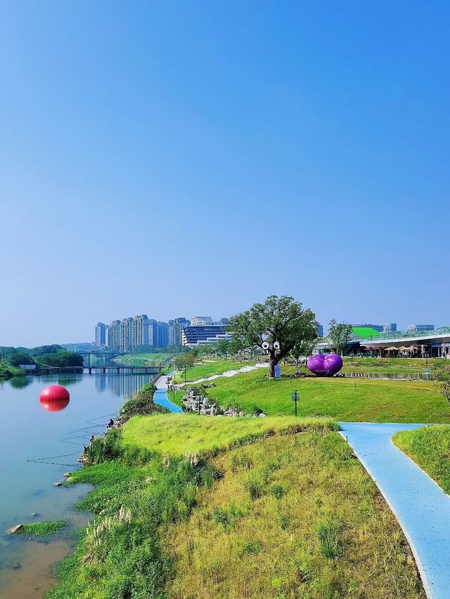 冬天來了快記住這份衢州4日遊攻略