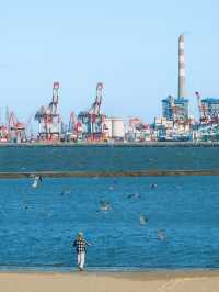 比布魯威斯號更好拍，海上公園的沉船太值了