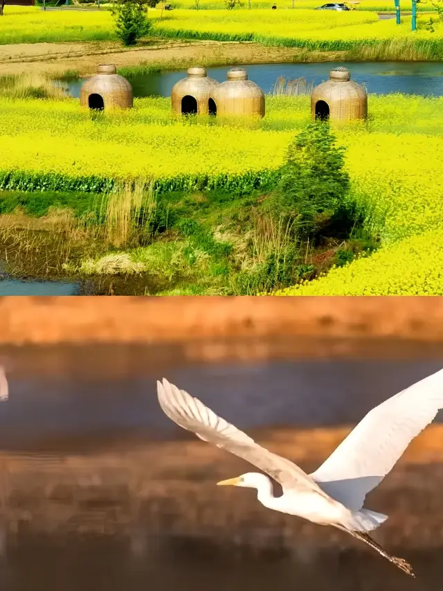 全球首家悅柳酒店