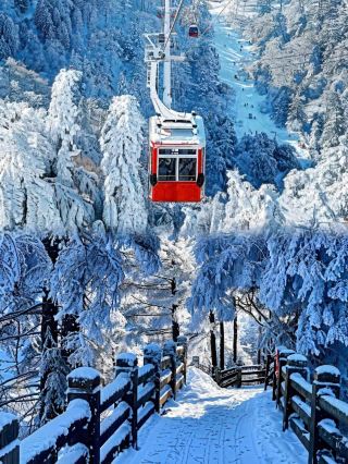 ทิวทัศน์หิมะที่ภูเขาหว่าอู่สวยงามราวกับเทพนิยาย!