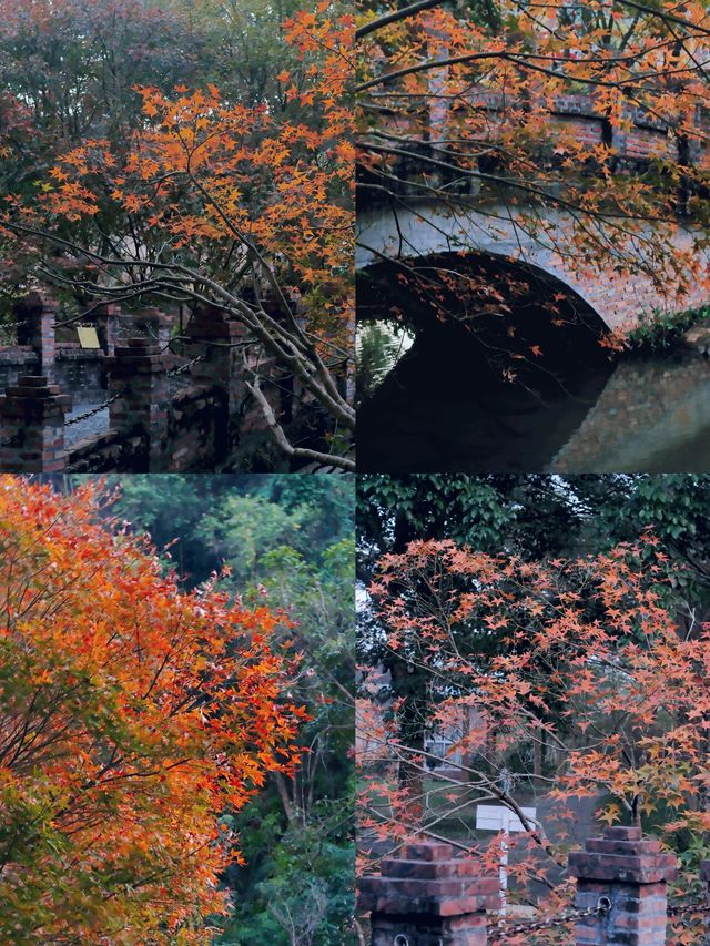 廣東周邊遊