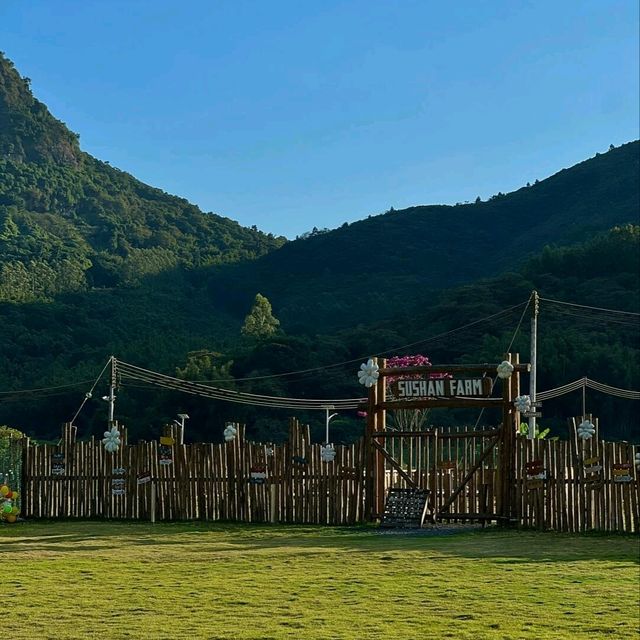 🌳藏在廣州山林間的秘密基地 | 宿山房民宿 🌳