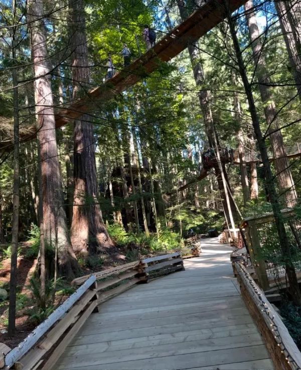 Explore the Iconic Capilano Suspension Bridge Park in Vancouver