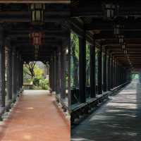 去東莞看嶺南園林，粵暉園
