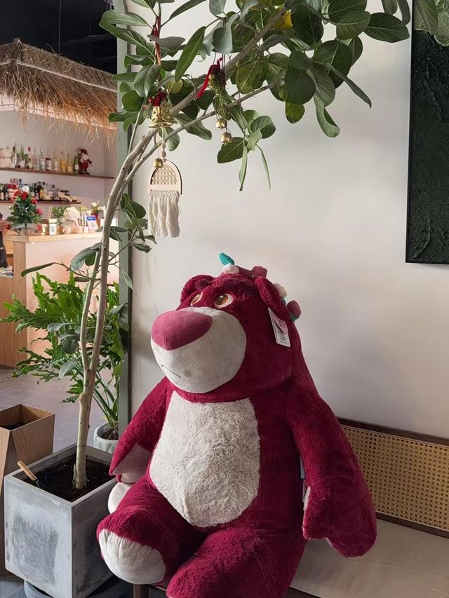 上海探店可以摸貓的森系治癒躺平青年旅舍！