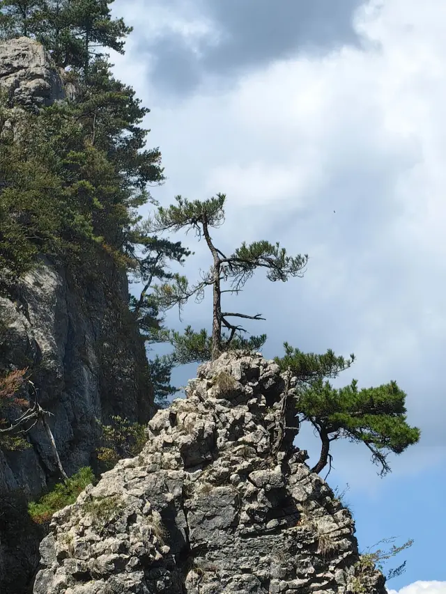 5-Day Winter Trip to Enshi: A Heartwarming Journey