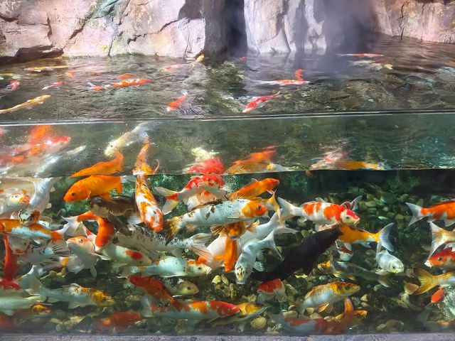 波塞冬海底世界｜深海奇觀