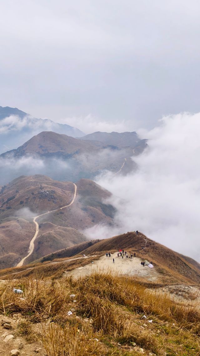 漫山蘆葦的惠州大南山徒步廣東小武功山