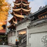 地鐵直達｜滿園金色，寶輪寺的銀杏黃了❗️||屬於重慶的冬日氛圍感已經拉滿