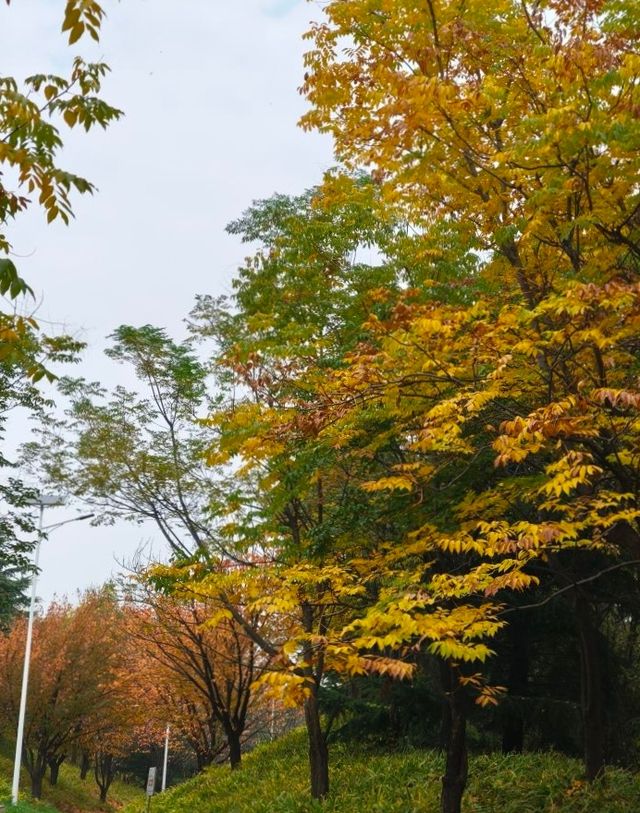 秦嶺國家植物園