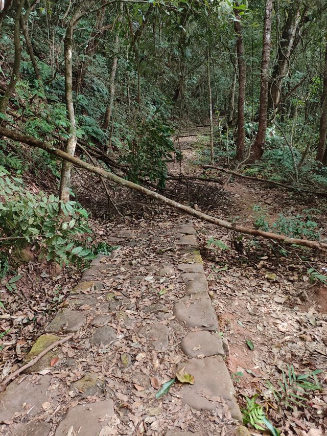 我的雲之南（五十六）