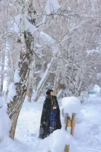 新疆禾木｜落雪成詩，芳華盡收