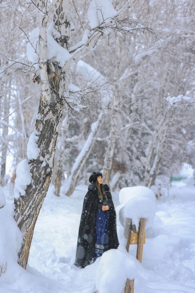 新疆禾木｜落雪成詩，芳華盡收