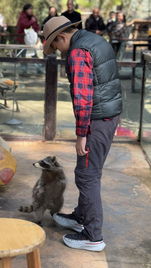 雲南野生動物園