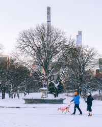 冬日中央公園：邂逅紐約的夢幻雪景