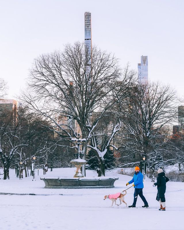 冬日中央公園：邂逅紐約的夢幻雪景