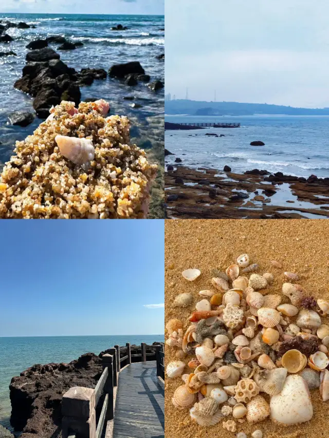 北海涠洲島反季潛水保姆級指南