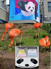 東京上野動物園景點攻略 🐾來東京怎麼能錯過這裡！