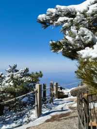 安徽黃山冬日下黃山被冰雪覆蓋別有味道