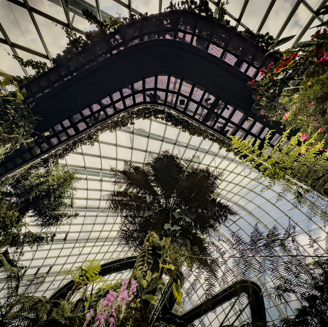 Cloud Forest is a MUST SEE!