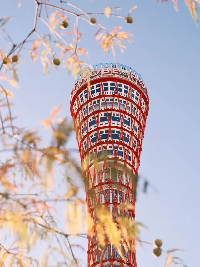 8-Day Japan Tour: Must-Visit Spots