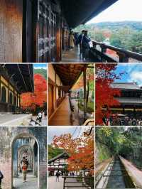 日本之旅·京都｜純玩一日遊攻略這些歷史文化遺產不要錯過