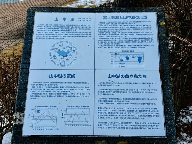 東京周邊靚景@富士山中湖😝