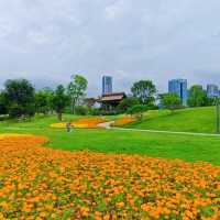 絕美拍照聖地，隨手一拍都是大片！🌸