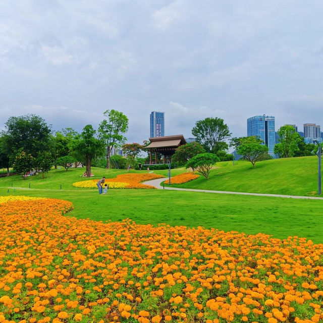 絕美拍照聖地，隨手一拍都是大片！🌸