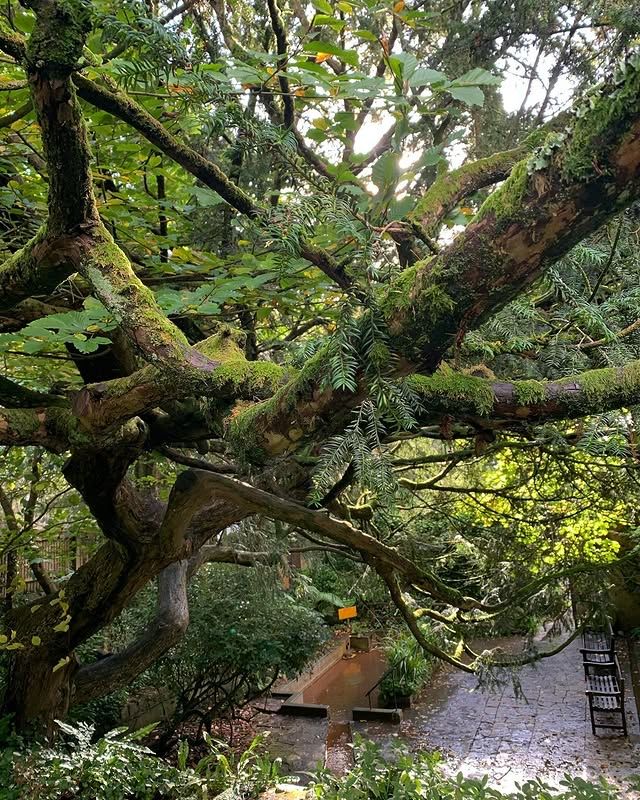 英國格拉斯頓伯里塔夫爾泉：神秘水源與自然之美 