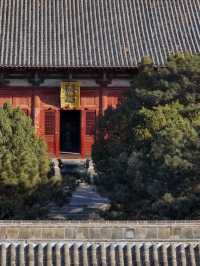 願每個去奉國寺的，都刷到這篇全攻略