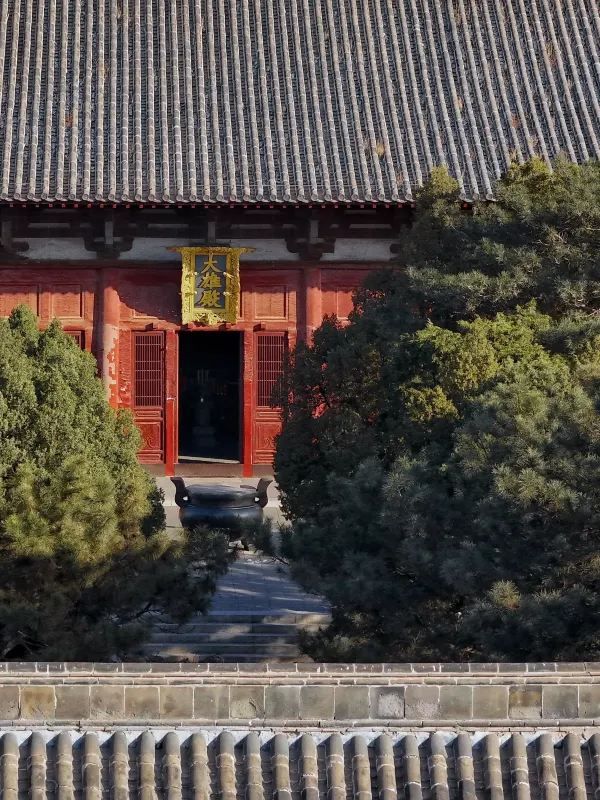 願每個去奉國寺的，都刷到這篇全攻略