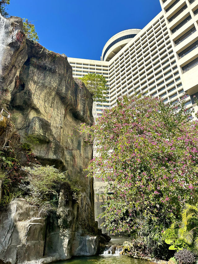 廣州花園！這家開業40年的酒店，氣派依舊～