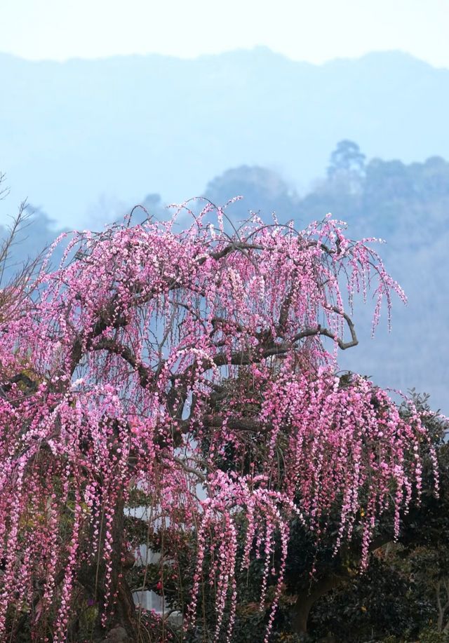 溪口