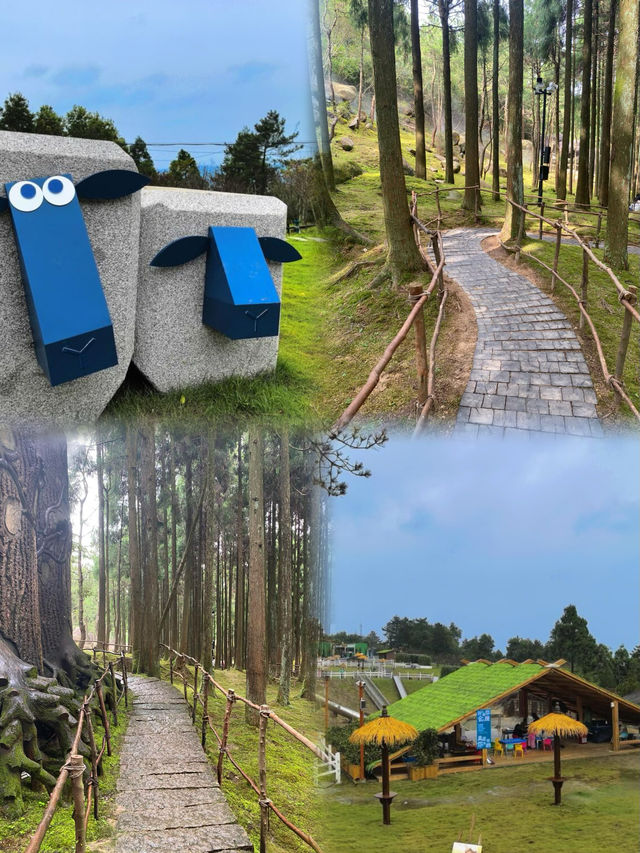 玉蒼山吸氧指南 上班不如上山