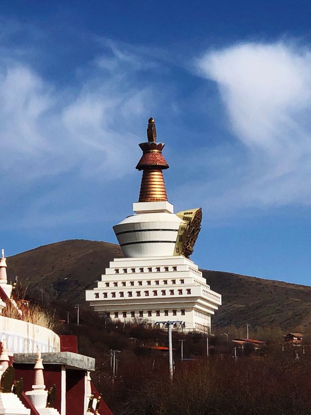 8日探索尼泊爾 神秘森林之旅太驚艷了