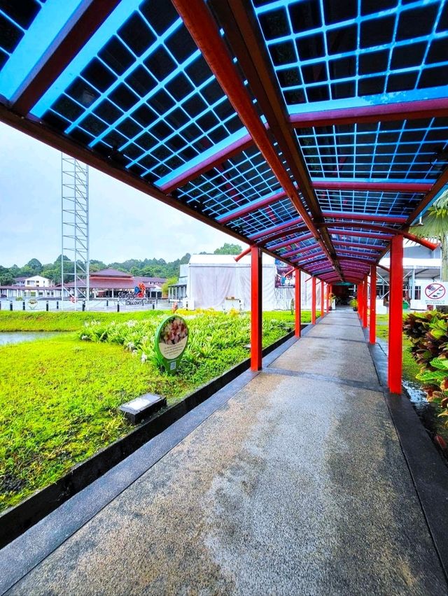 新加坡知新館