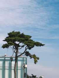 享受海灘風光的好去處首爾仁川鳥巢酒店！
